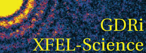 International Scientific Coordination Network (GDRi) XFEL-Science